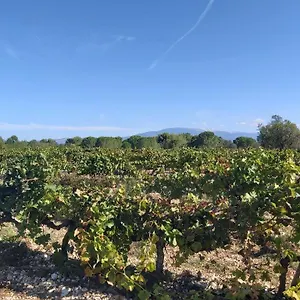 Gite Dans Les Pins Avec Piscine Mazan