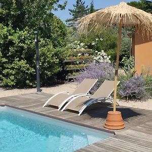 Le Du Petit Branche Mazan